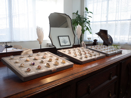 Chevalier 横浜がオープンしました。