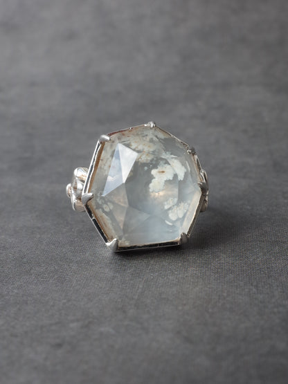 デンドリティックアゲートのリング - 2